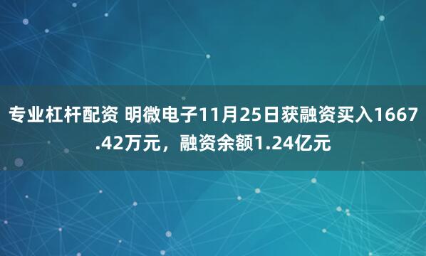 专业杠杆配资 明微电子11月25日获融资买入1667.42万元，融资余额1.24亿元